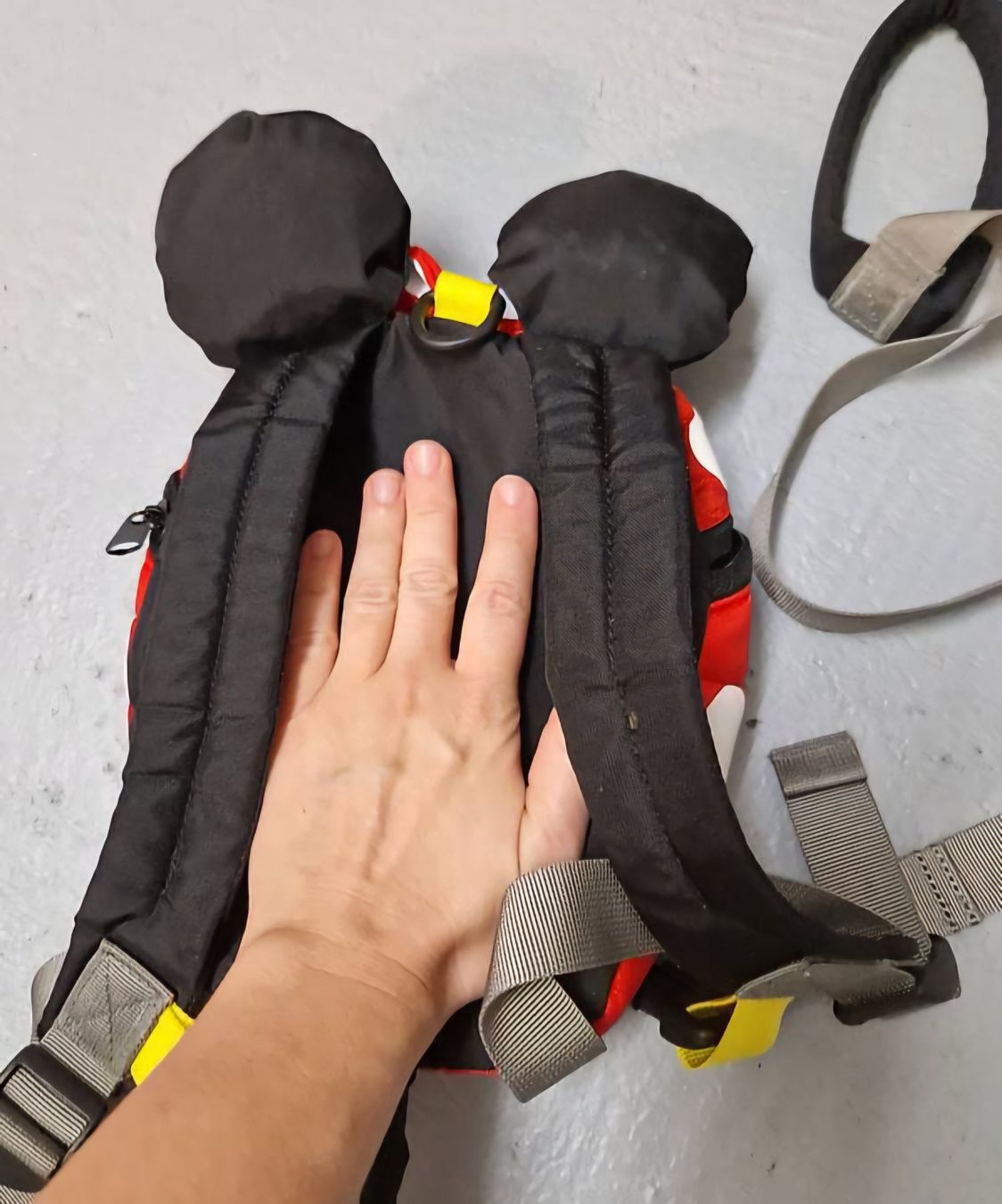 Borse & Zaini: Rucksack Kinder Mickey Mouse Marienkäfer – Usato da Erlinsbach SO venduto da ULIKH 3