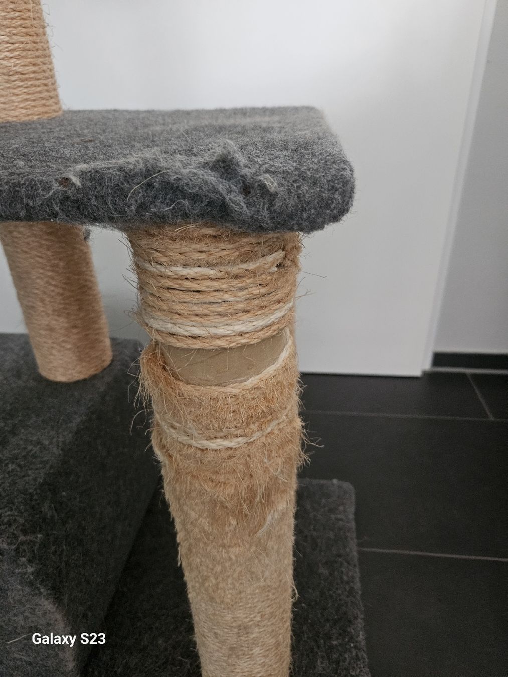 Tiragraffi: Katzenkratzbaum – Usato da Wallisellen venduto da BeautyBee 1