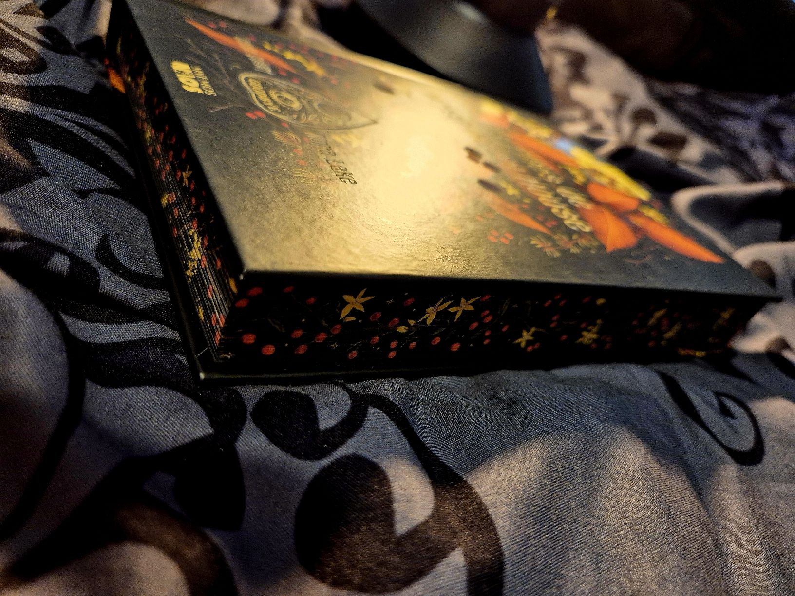 Libri: Les filles de Witch Hazel House – Usato da Fleurier venduto da cin_7qkd 2