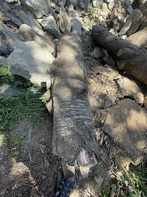 Articoli in legno: Kirsche als Massiv Holz  – Usato da Naters venduto da brunteles 3