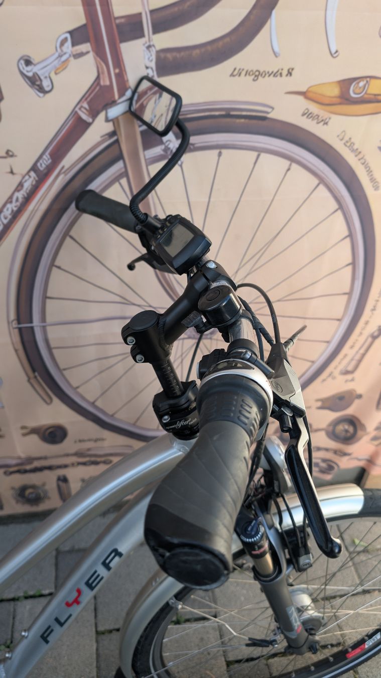 Flyer Velos: Flyer E-Bike silber Grösse S gebraucht – Gebraucht aus Menziken von ezadinho 6