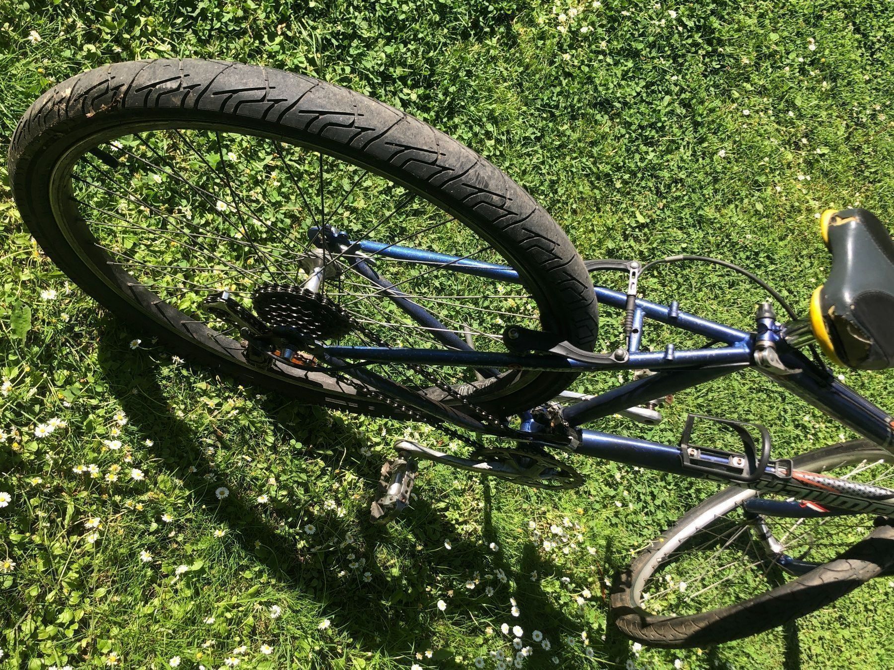 Biciclette: Fahrrad Skyjumper – Usato da Schlieren venduto da Flower5 3