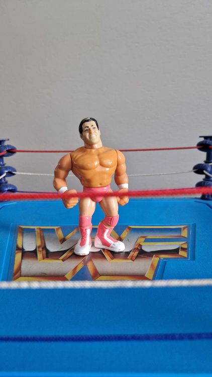WWF Hasbro – Rick the Model Martel – Wrestlingfigur 1993 (Gebraucht) in ...