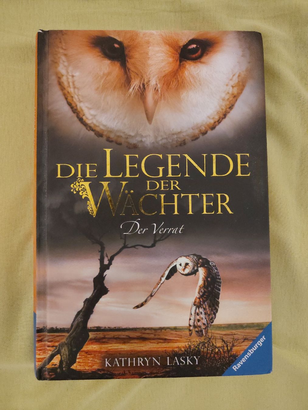 Livres: Die Legende der Wächter Bänder 7-15 – D'occasion à Burgdorf par allyyy 1