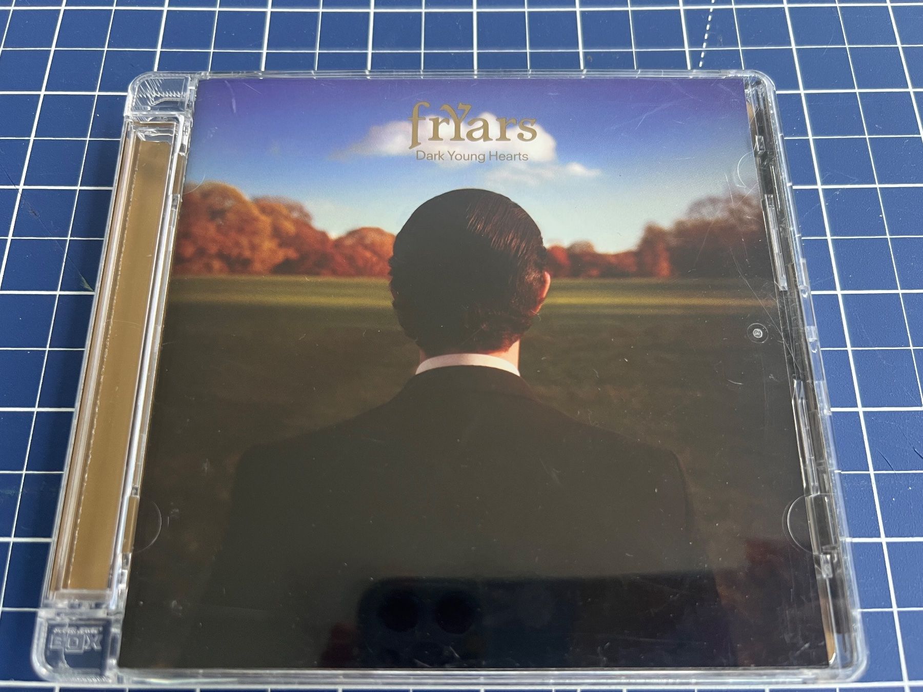 CD: frYars – Dark Young Hearts – Usato da st.gallen venduto da sophiephie