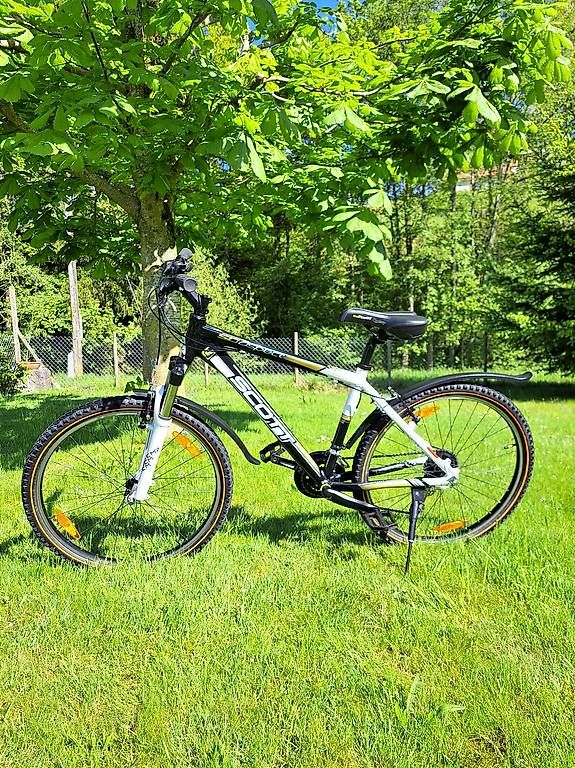 Biciclette: Jugendbike SCOTT MTB  – Usato da Escholzmatt venduto da Limacher02 1