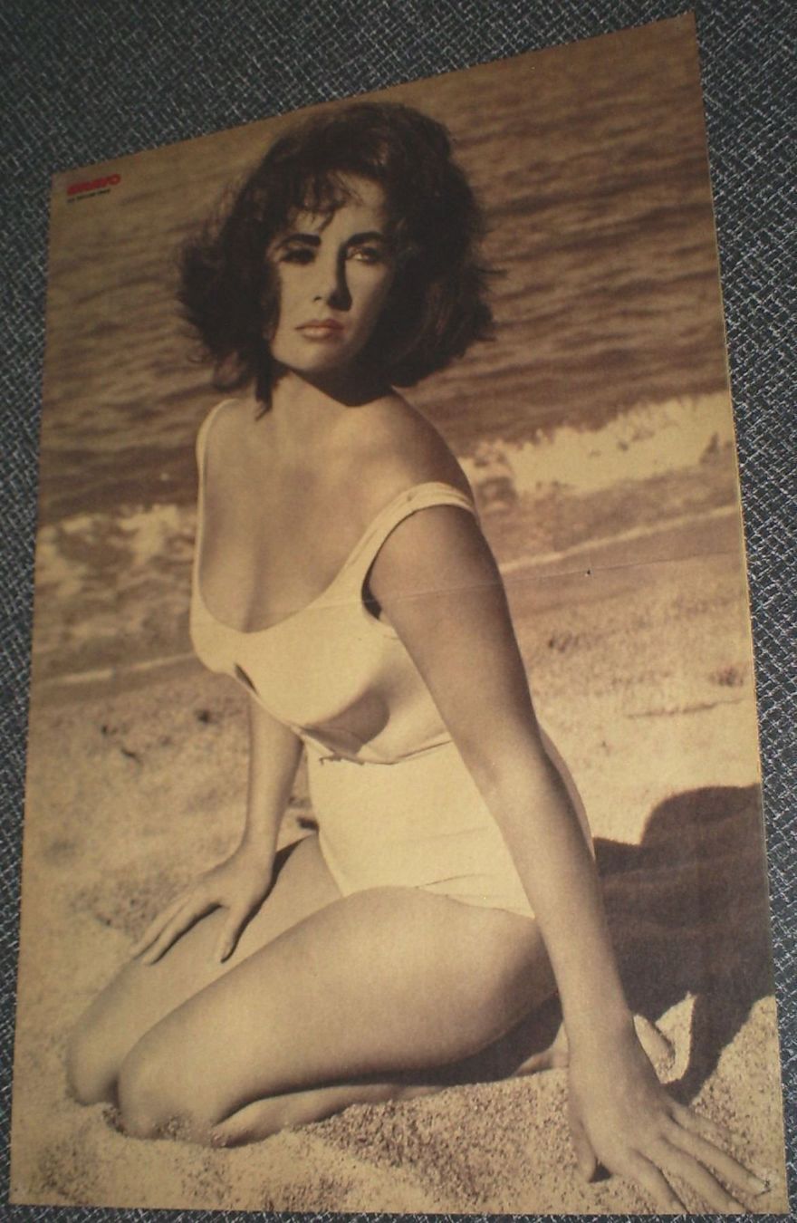 Toutes les décorations: Elisabeth Taylor / John Travolta, Poster – D'occasion à zürich par parts5060