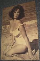 Elisabeth Taylor / John Travolta, Poster