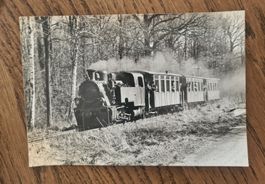 Dampflokomotive