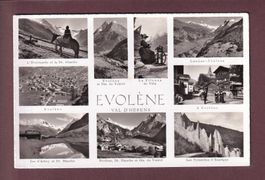 EVOLENE - 9 images