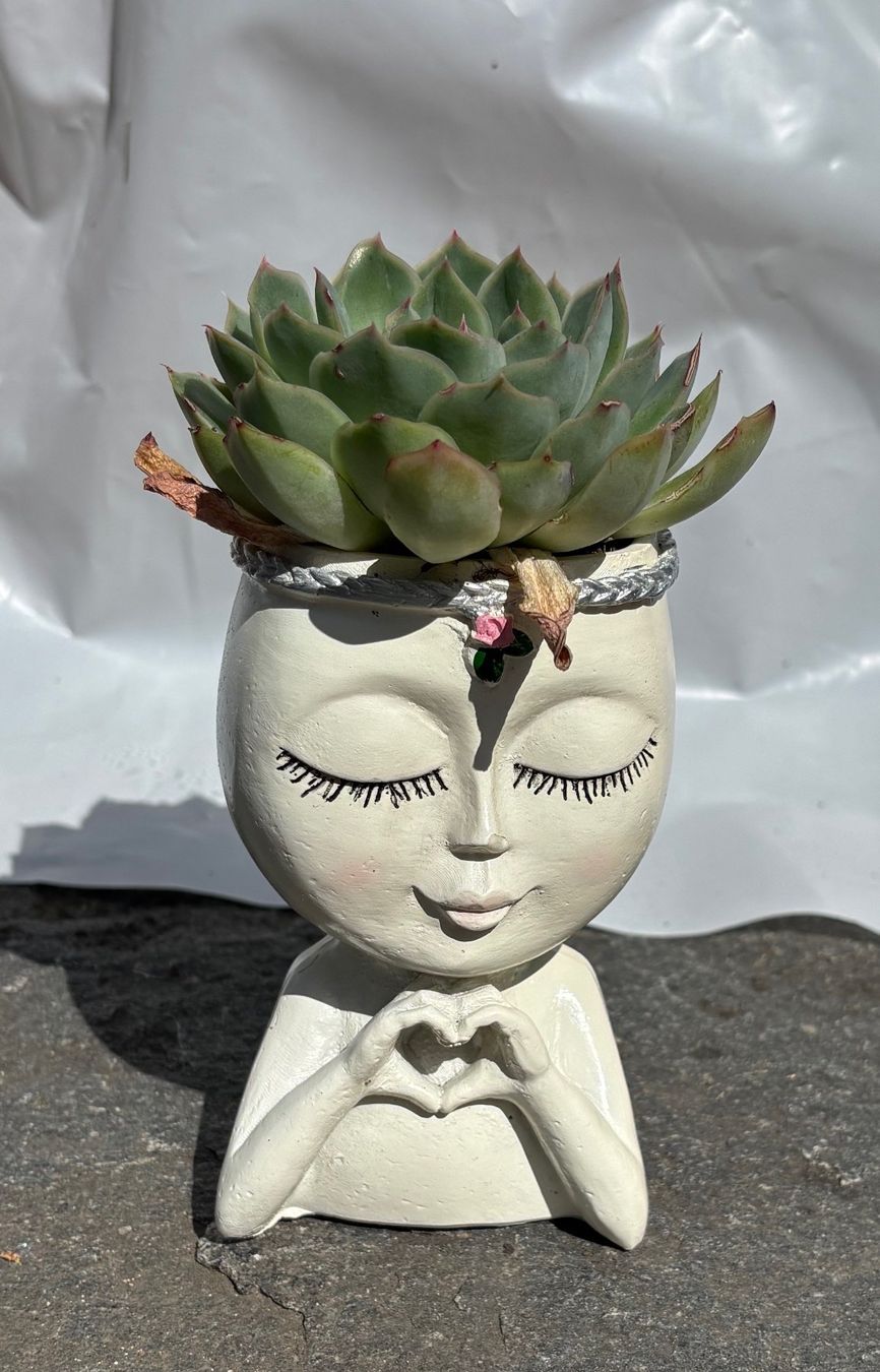 Vasi per fiori: Mini Blumentopf Gesicht - Höhe ca 10,5 cm – Nuovo e nell'imballaggio originale da Rheinfelden venduto da sabine0101