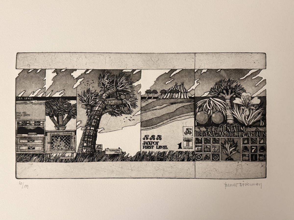 Grafica & Litografie: Bengt Böckman - Radierung – Usato da Solothurn venduto da NUVICO 2