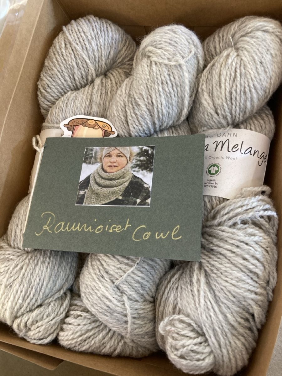 Lana: Kit Raunioiset cowl, gris clair  – Nuovo (secondo la descrizione) da Corcelles-Chavorn venduto da Pebble10