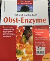 Buch Dorothea Zimmer Obst-Enzyme guter 