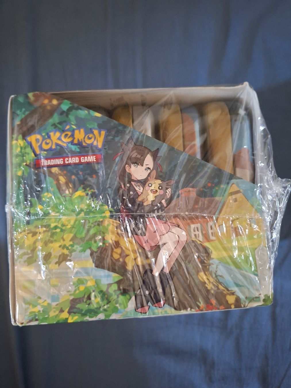 Pokémon Carte collezionabili: Crown Zenith: Mini Tin Display – Nuovo (secondo la descrizione) da Villars-le-Terroir venduto da kar_f7xy 3