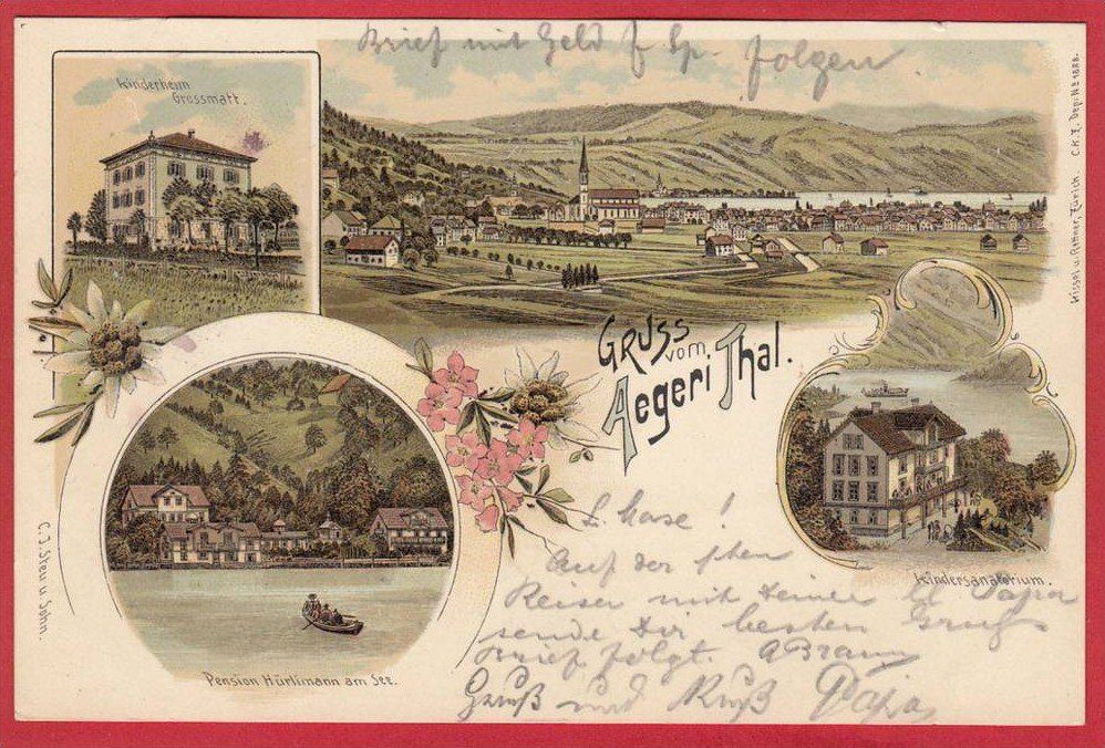 Cartoline postali: AEGERI THAL, LITHO 1900 – Usato da Grüningen venduto da Kartenlaube