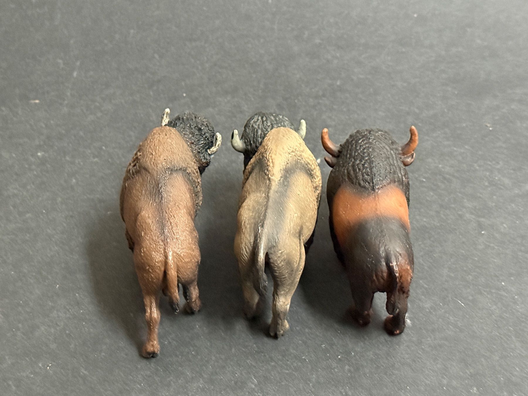 Schleich Statuette: 3 verschiedene Bison Schleich – Nuovo (secondo la descrizione) da Ennetbaden venduto da mapa05 8