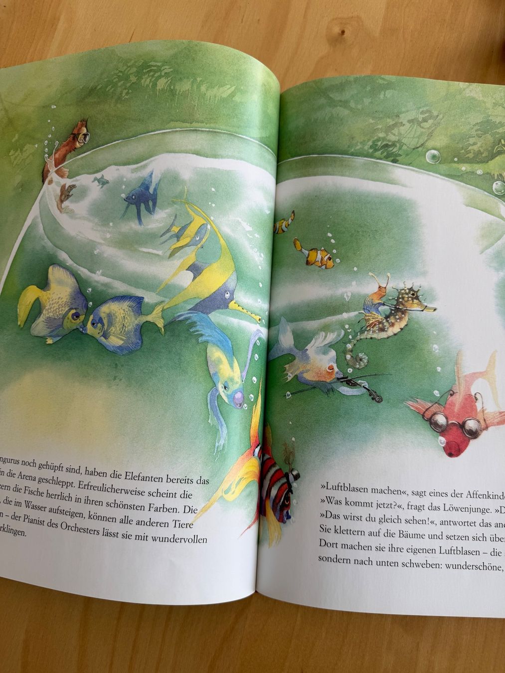 Libri: Buch Der Karneval der Tiere mit CD – Usato da Goldach venduto da Hibiskus23 3