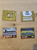 Panini world cup 2026