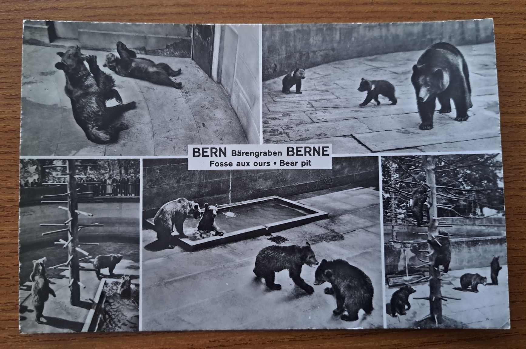 Cartoline postali: "Fosse aux ours " Berne 1961 – Usato da Hauterive NE venduto da ali_vintage