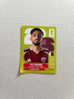 Panini QAT 8