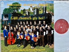 LP Jodlerchörli "Daheim" Schwyzerörgeliquartett Tannebach 🛀