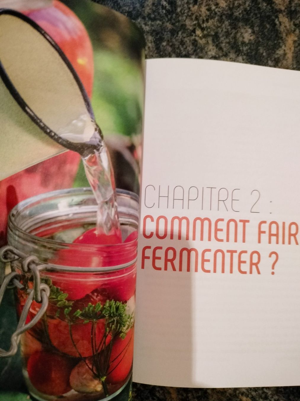 Livres: Prodigieuse lactofermentation avec des recettes – Neuf (Voir description) à Cortaillod par rozinna 4