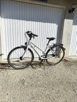 Gudereit SX C Sportline Damen Velo (167cm /48)