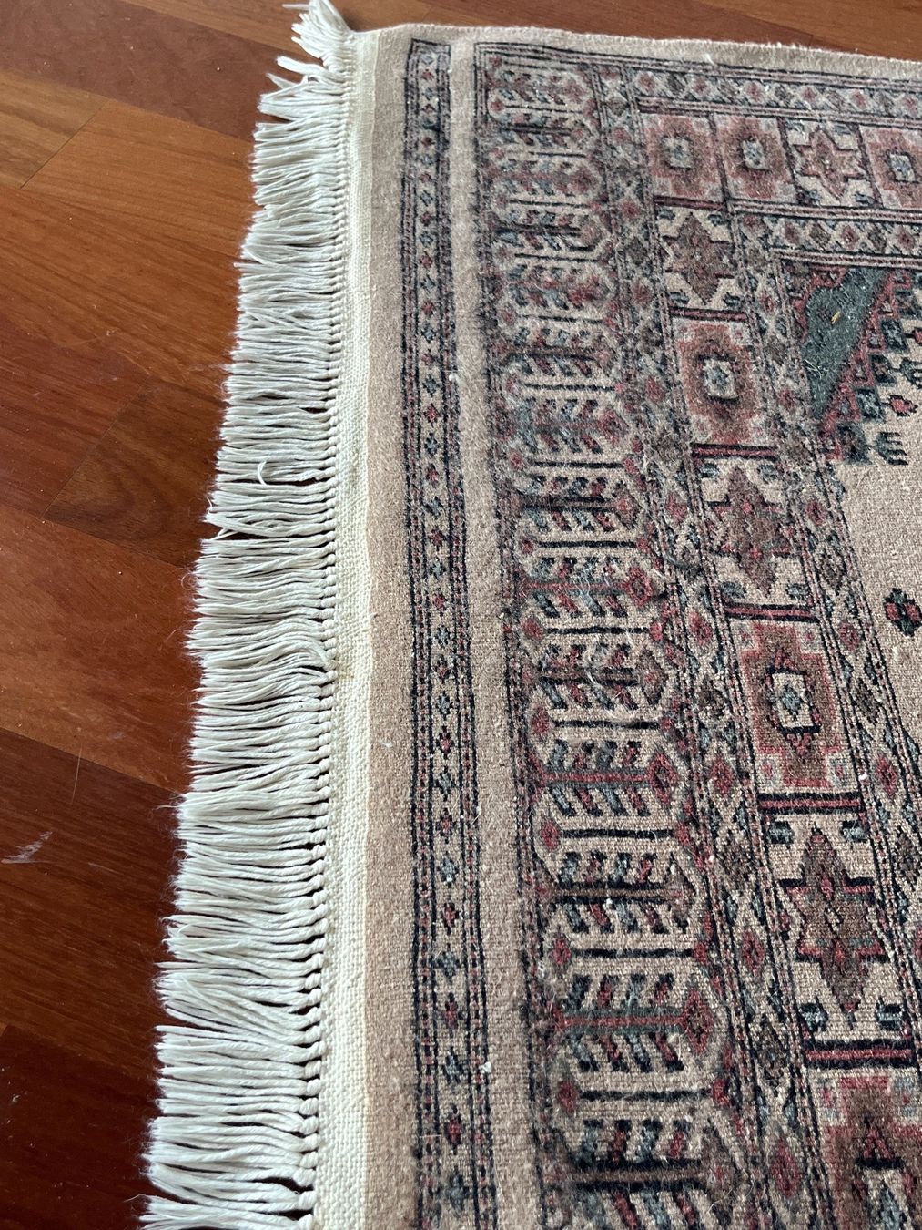 Tappeti: Teppich, klassisch, orientalisch, grau/beige, 92x165 cm – Usato da Luzern venduto da Jiggy_8898 8