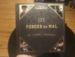 Harry Potter : Les Forces du Mal, le carnet magique
