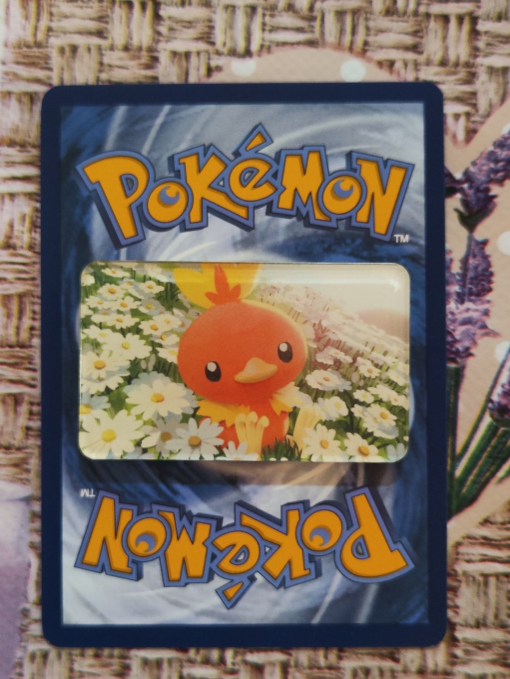 Pokémon Carte collezionabili: Pokemon Magnet Torchic – Usato da Riva San Vitale venduto da kokinho95