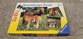 Puzzle 3stk. à 49 Teile