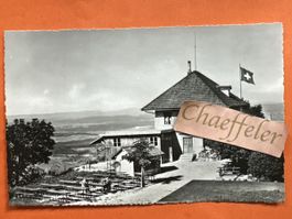 Ansichtskarte Gasthaus Lägern Hochwacht 1952