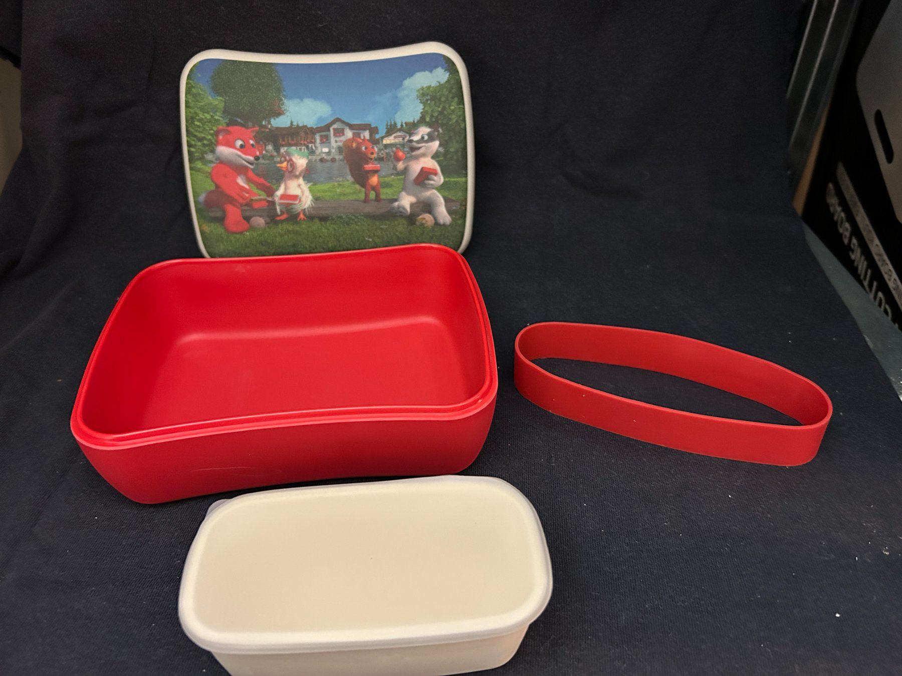 Contenitori & Simili: 2x hochwertige Lunch Boxes – Nuovo (secondo la descrizione) da Küsnacht ZH venduto da filo_fila8700 6