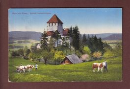 STEIN AM RHEIN - Schloss Hohenklingen - Kühe