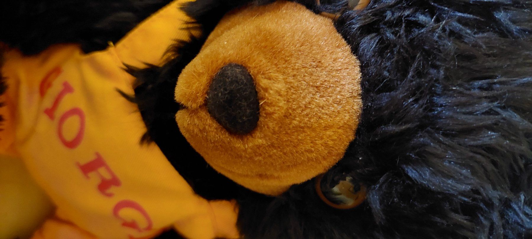 Giocattoli: Ours bear collection tuin giorgio 1998 – Usato da Genève venduto da Cristin1 1