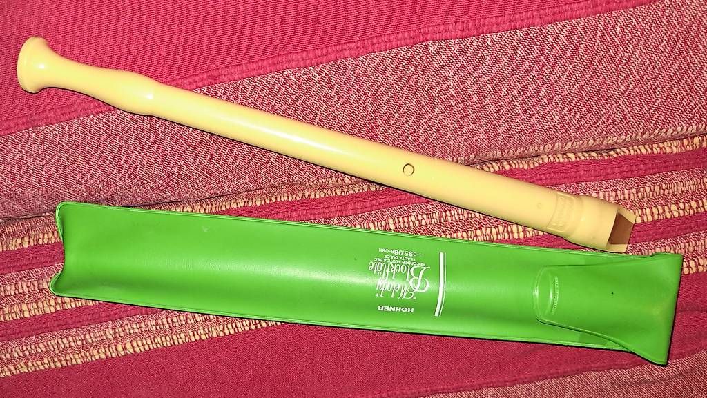 Strumenti musicali: Blockflöte plastik Melody – Usato da Schlieren venduto da Rcaliforni 2