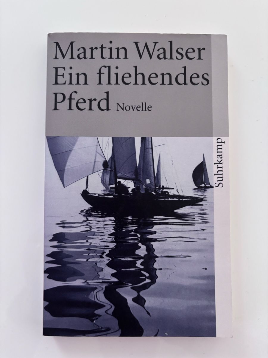 Bücher: 5 Taschenbücher Hesse, Bichsel, Walser, Inoue – Gebraucht aus St. Gallen von Rindi66 3