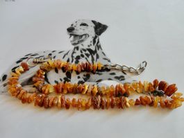 Hundekette/ Bernstein/Amber/Ambre präsentiert von Slim