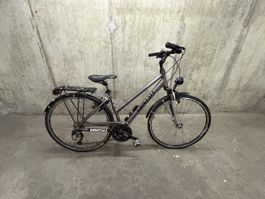 Kristall Legend Damenvelo 45 cm