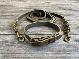 Hundehalsband- & Leinenset Leder olive NEU - Large