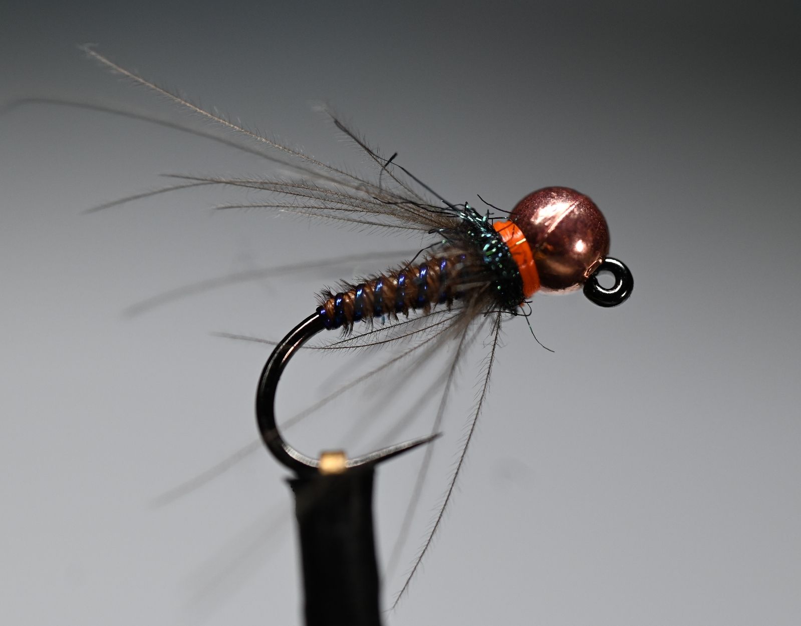 Esche: Orange & Blau/Pfau Nymph – Nuovo (secondo la descrizione) da Degersheim venduto da HookedOnTheFly