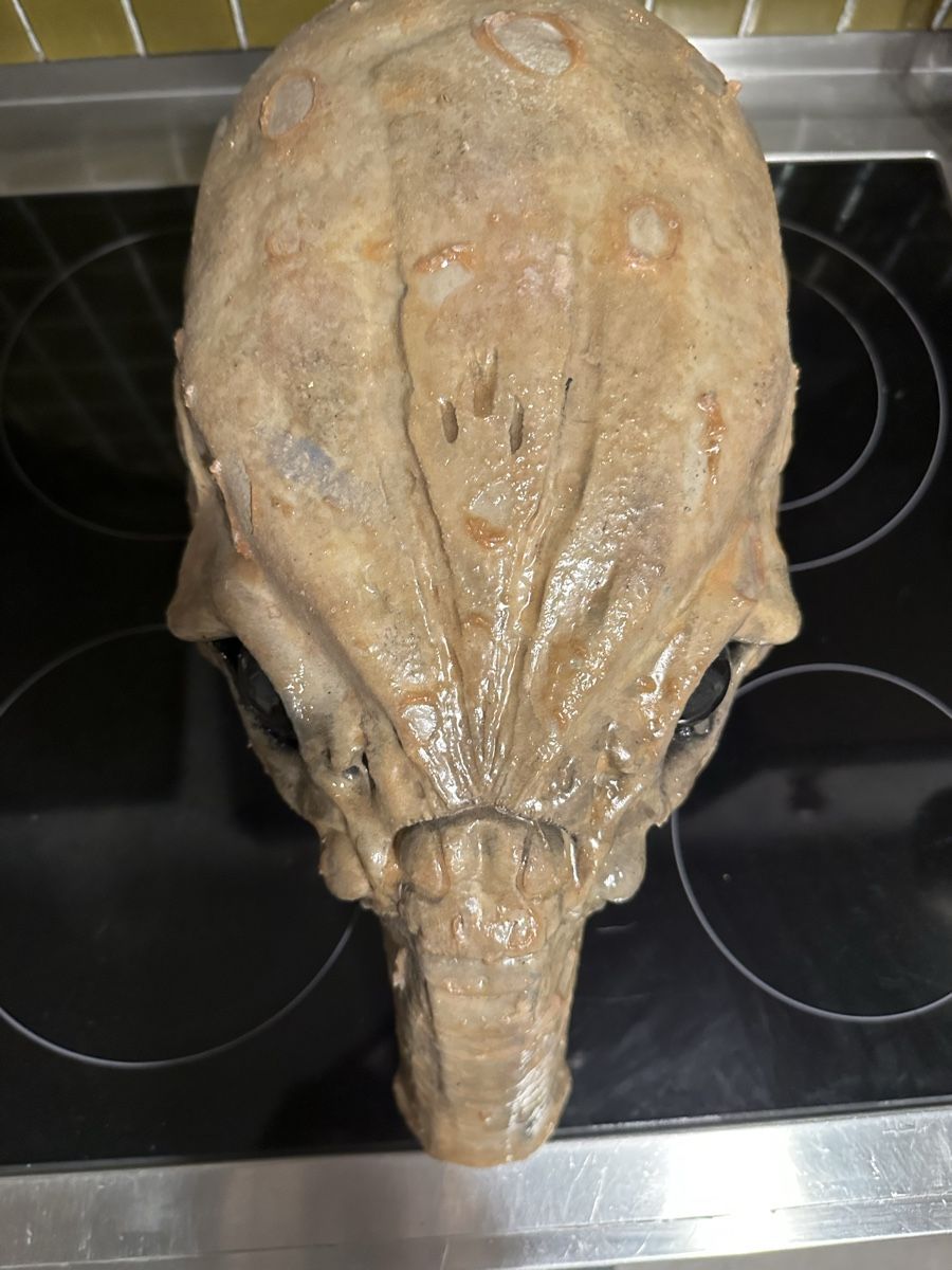 Skulpturen & Statuen: Giger Alien Space Jockey Büste Modell not Sideshow – Gebraucht aus Schlieren von Moviepropde 2