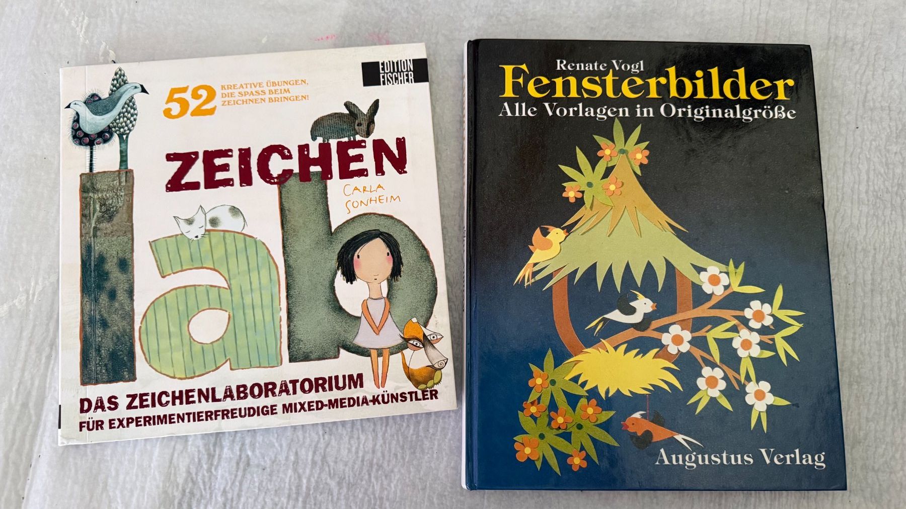 Bücher: Zeichnen und Fensterbilder Bücher – Neu (gemäss Beschreibung) aus Winznau von aar_2p6c