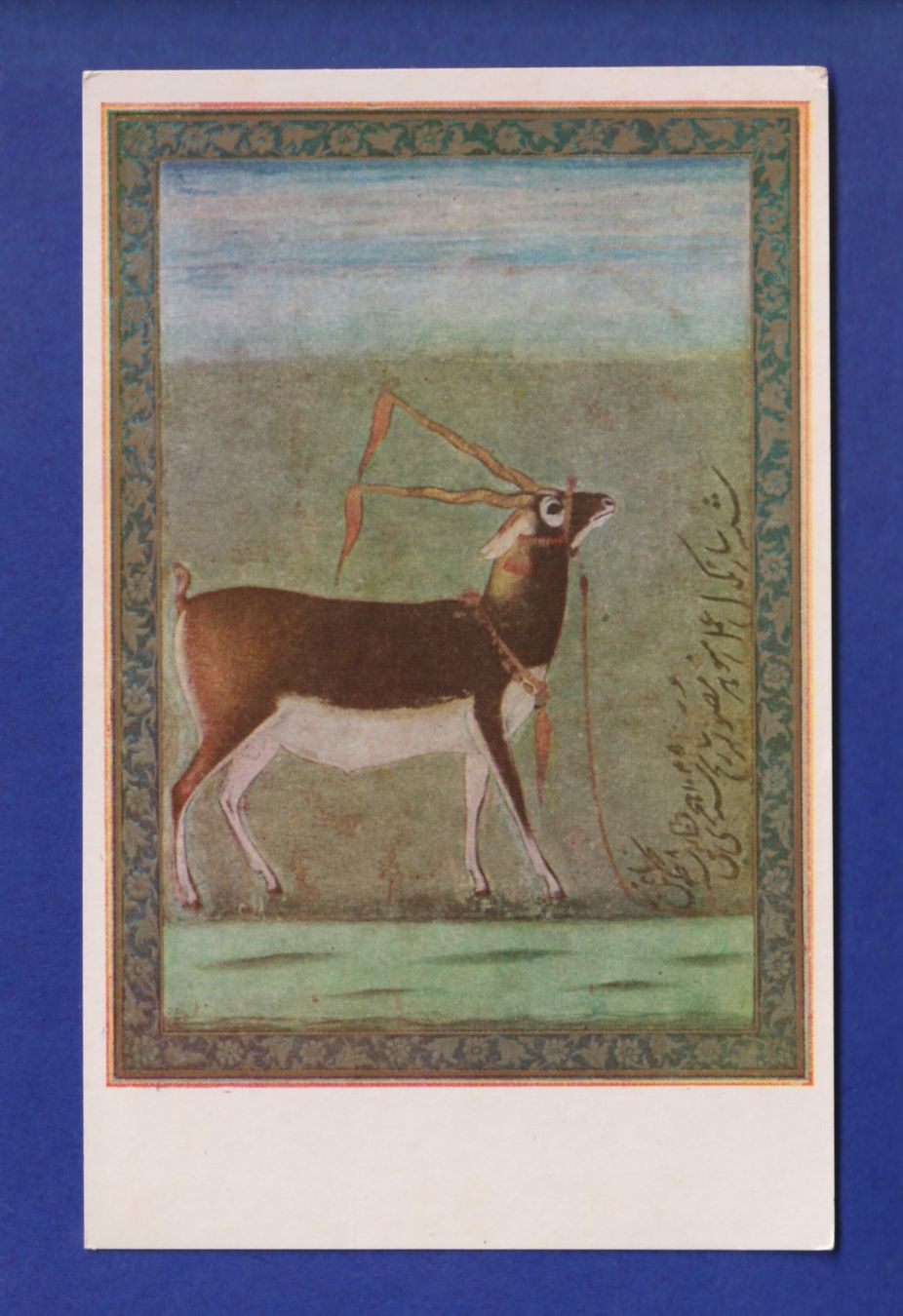Cartoline postali: ANTILOPE – Usato da Pully venduto da nicecards-shop