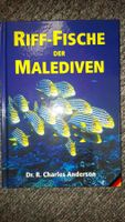 Riff-Fische der Malediven