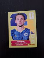 panini 2026 bih 3