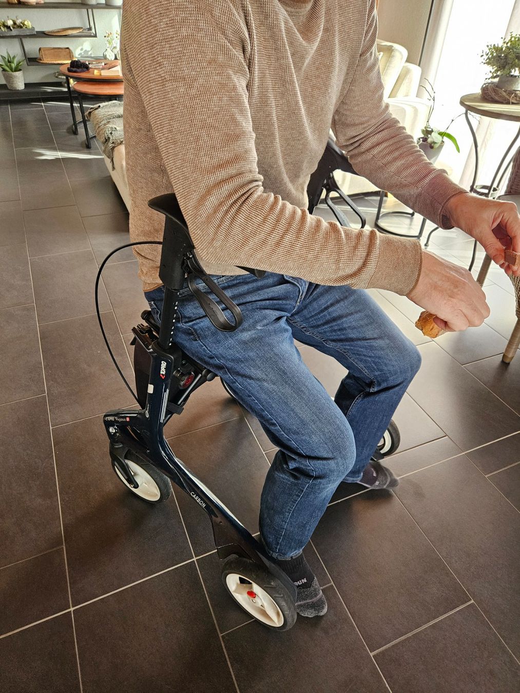 Ausili per la deambulazione: TOPPRO ROLLATOR Pegasus Carbon mit Zubehör! – Nuovo (secondo la descrizione) da Langendorf venduto da Apricot1 9