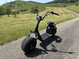 Neuer E-Chopper / Fatbike / CityCruiser,