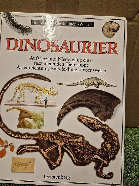 Bücher: Dinosaurierbuch – Gebraucht aus Zürich von RaffaelaT